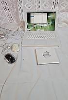 Apple A1181