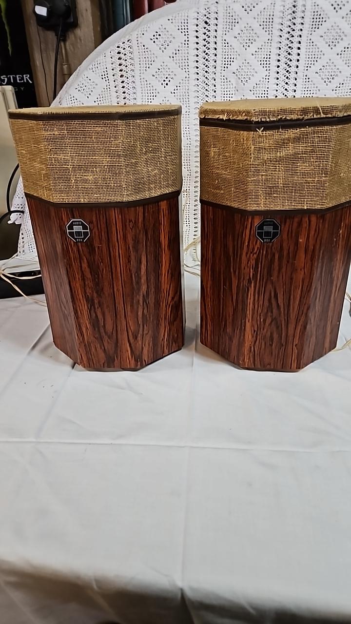 Vintage Träförvaringsburkar med Flätade Detaljer Audio Box